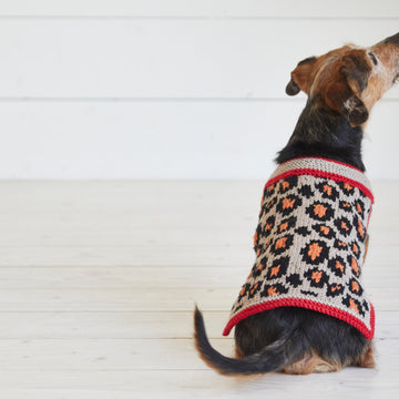 Debbie Bliss Leopard Pooch Knitting Pattern