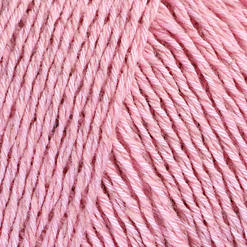 Barely Faded Rose (76)