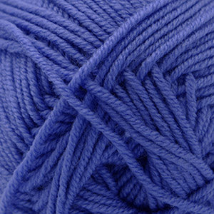 Blue iris (68)