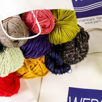 WEBS Mystery Yarn Bags Yarn -