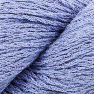 Chicory (108)