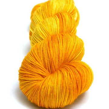 Dandelion on A Meadow