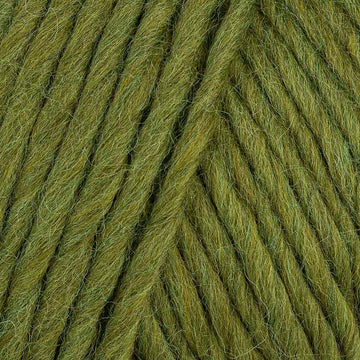 Moss (08)