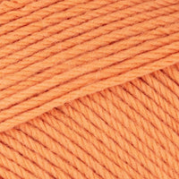 Apricot (495)