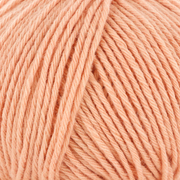 Apricot (20)