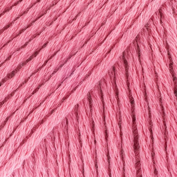 Tea Rose (CW210)