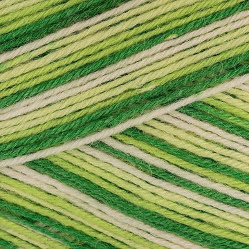 Mojito (879)