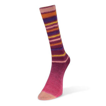 Fuchsia, Pink, Orange, Purple, Yellow (14)