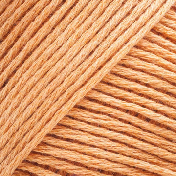 Sunkissed Apricot (CW315)