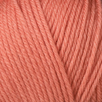 Raspberry (3349)