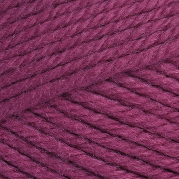 Magnolia (3337)