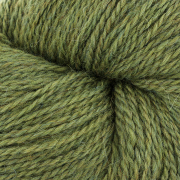 Moss (0203)