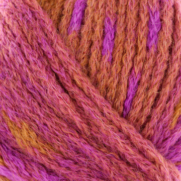 Fuchsia, Orange (3)