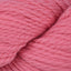 Shrimp (7804)