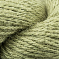 Kiwi (131)