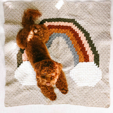 Over the Rainbow C2C Blanket