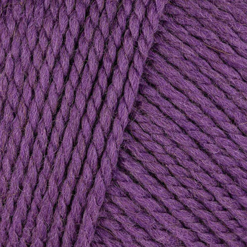 Blackcurrant (619)