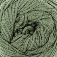 Seaweed (11516)