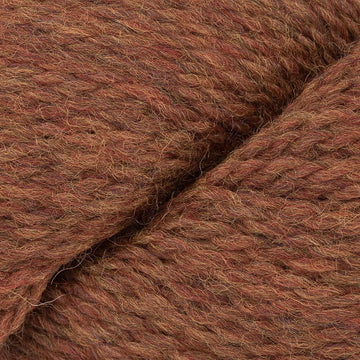 Pumpkin Spice (2453)