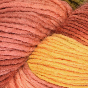 Seleccion Privada R (313)