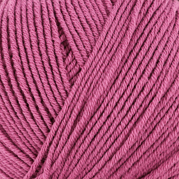 Fuchsia (163)