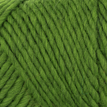 Kiwi- (191)
