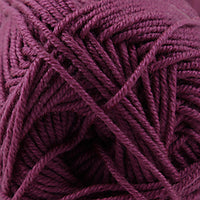 Raspberry (64)
