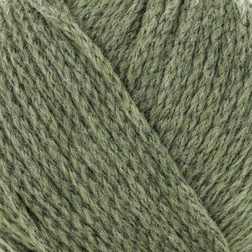 Olive (45)