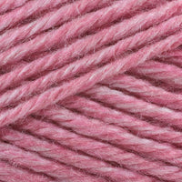Denali (103)