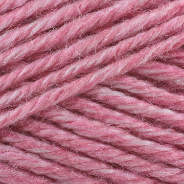 Denali (103)