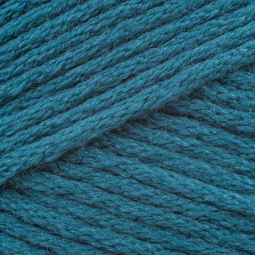 Duck Teal (9759)