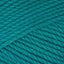 Peacock (33)