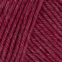 Raspberry (123)