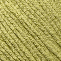 Mackeral (26B)