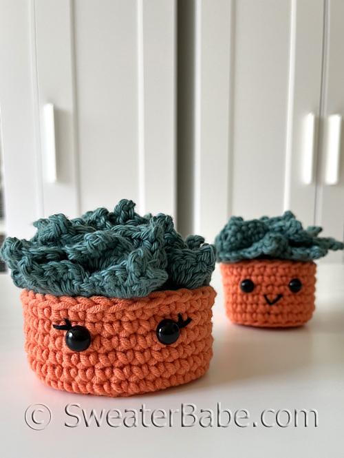 #358 Succulent Coaster Set