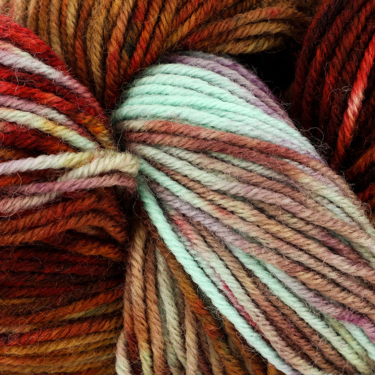 Neighborhood Fiber Co. Organic Studio Sock Yarn - Superwash Merino 4 Ply