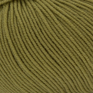 Plymouth Yarn Cammello Merino