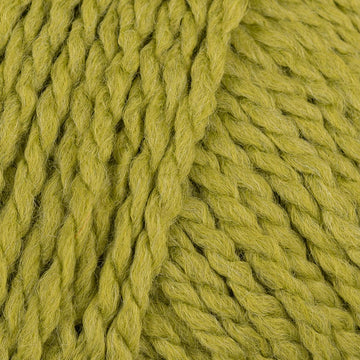 Matcha (3870)
