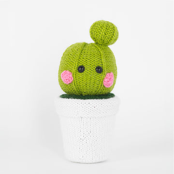 Paintbox Yarns Botanical Buddies Knitting Pattern
