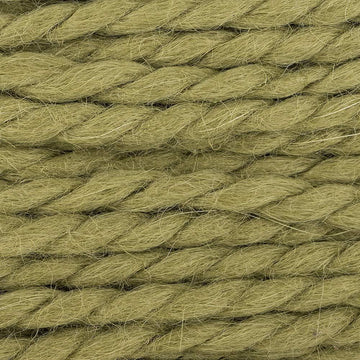 Green Olive (17)