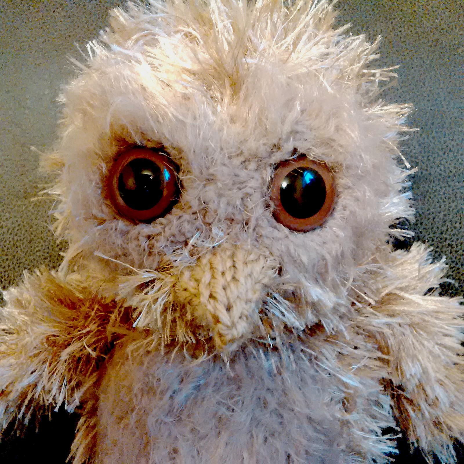 Owl Babies