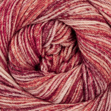 Syrah (104)