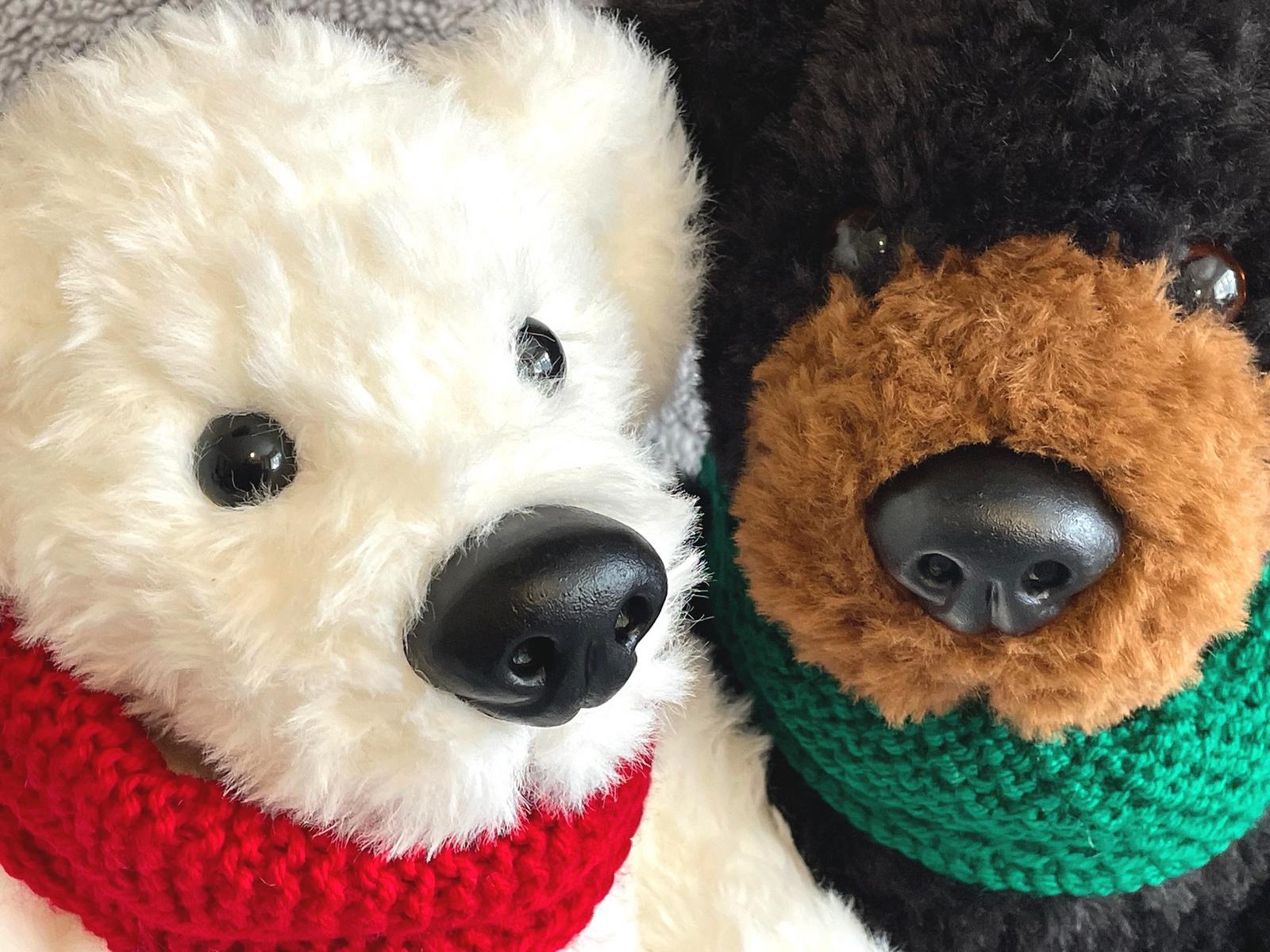 Polar and Grizzly Bear Cousins