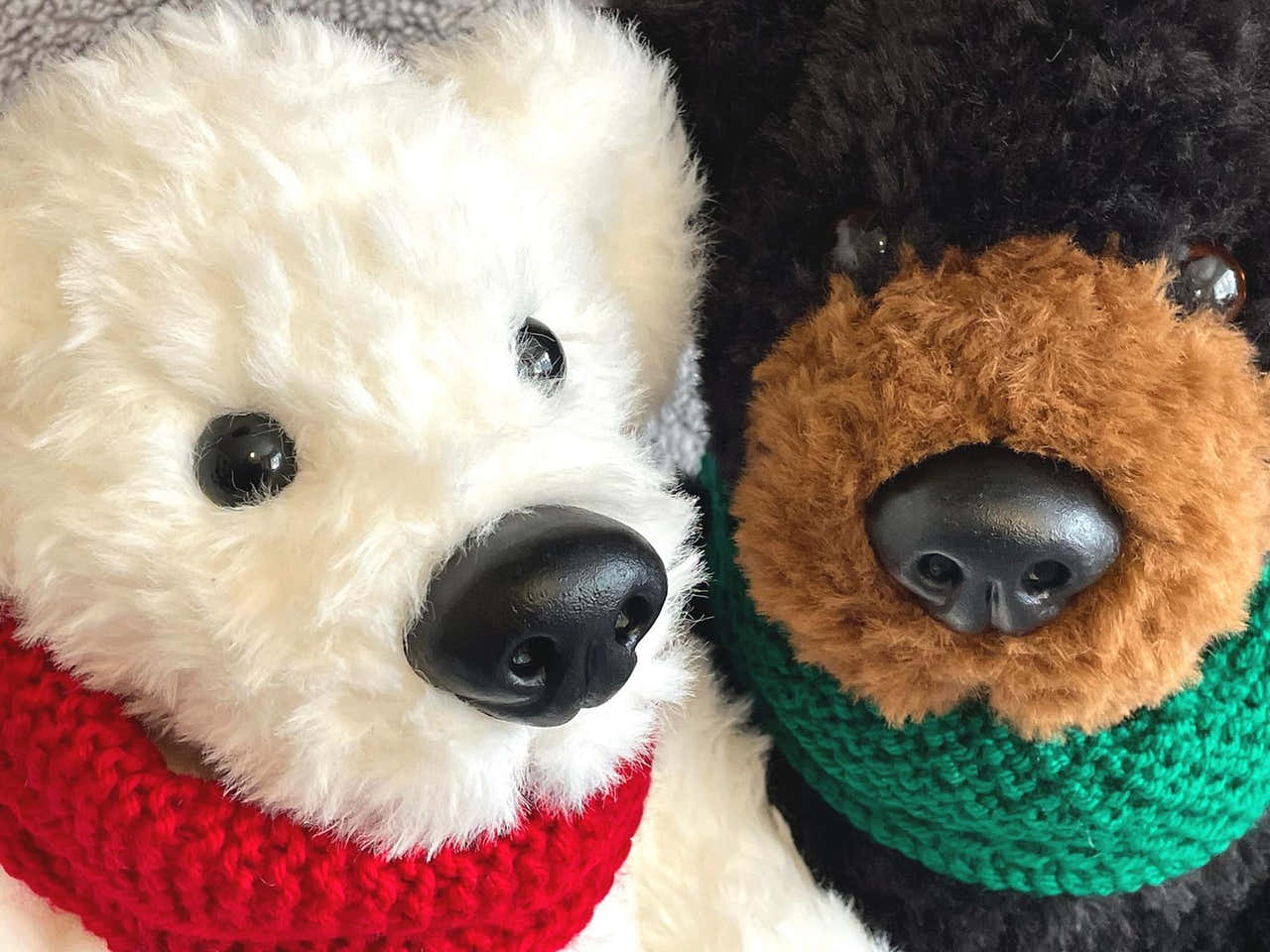 Polar and Grizzly Bear Cousins
