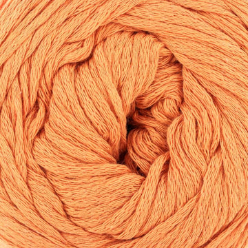 Carving Party (11505)