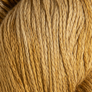 Cumin (10986B)