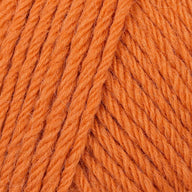 Ginger (9)