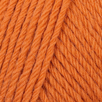 Ginger (9)