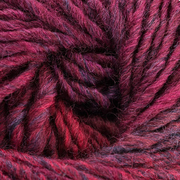 Burgundy Fuchsia (23)