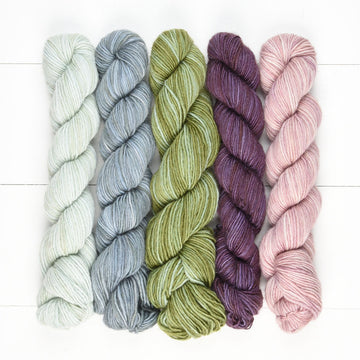 Manos del Uruguay Fino Mini Skein Set